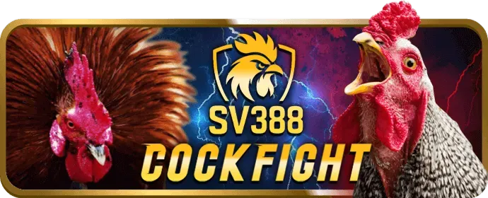 Người chơi đang nghiên cứu luật chơi game bài trên giao diện bong dalu